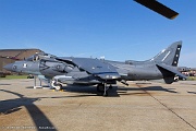 LE19_040 AV-8B Harrier 164562 CG-01 from VMA-231 