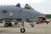 A-10 Thunderbolt nose art...