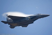 F-15E Strike Eagle 89-0495 SJ from 336th FS 