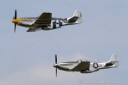 PD23_369 Pair of P-51 Mustangs