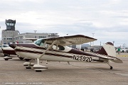 N2592D Cessna 170B C/N 20744, N2592D