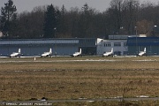 SB21_368 Row of TS-11 Iskra aircraft in Deblin airfield