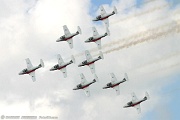 Snowbirds - swept delta formation