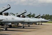 Tomcats lined up for the flyby