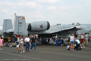 A-10C Thunderbolt II 79-0087 MD from 104th FS 175th WG Martin State Airport, MD