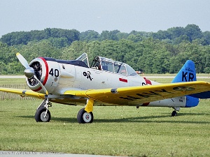 Static Display Pictures