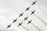 Canadian Snowbirds Team