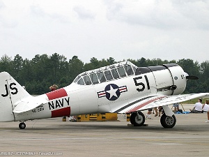 Static Display Pictures