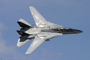 F-14D Tomcat 163414 AD-163 from VF-101 'Grim Rippers' NAS Oceana, VA