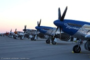 Mustangs ready for the show...