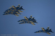 Gracefull formation...