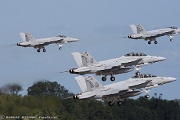 Hornets take off...