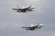 Pair of Hornets