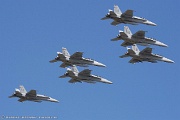 Fleet flyby
