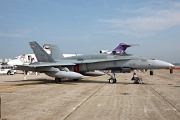 188766 CAF CF-188 Hornet 188766 from 425 TFS 