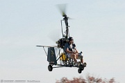 Star Bee Gyrobee