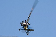 Star Bee Gyrobee