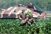 Bean field soldier
