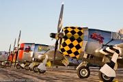 P-47 Thunderbolts