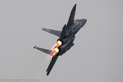 F-15E Strike Eagle 89-0495 SJ from 336th FS 