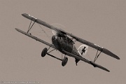 HK11_038 Albatros D-VA C/N 17-D-7517, N12156