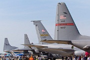 LE19_169 Parade of tails