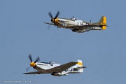 LH03_013 Mustangs