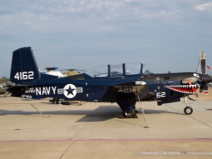 Static Display Pictures