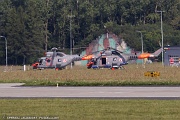 SH19_242 W-3RM Anakonda