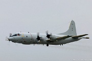60+04 GAF P-3C Orion 60+04 C/N 5754 from MFG3 Nordholz, Germany