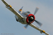 060806_035 Republic P-47D Thunderbolt 