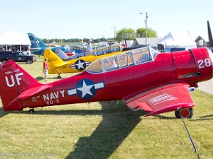 Warbirds - Trainers