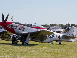 Warbirds