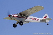 MH01_149 Piper PA-18-150 Super Cub C/N 18-8009006, N4313P