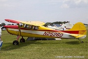 MG31_084 Cessna 170B C/N 20678, N2526D