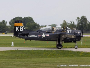 Warbirds - Trainers