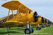 OG22_167 Stearmans