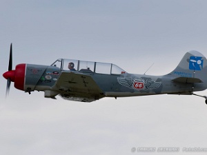Warbirds - Trainers