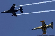 RG27_1014 Alpha Jet and L-39 Albatross