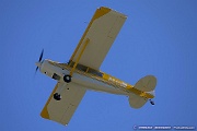 N241BP Bearhawk Patrol C/N P241 , N241BP