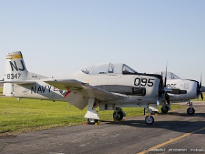 Warbirds - Trainers