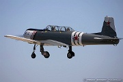 N73CJ Nanchang CJ-6A C/N 2951231, N73CJ