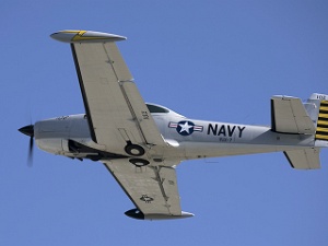 Warbirds - Trainers