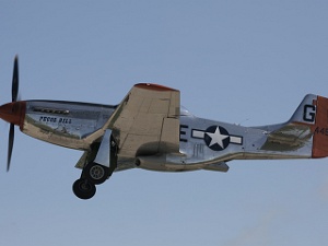 Warbirds