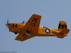 Warbirds - Trainers