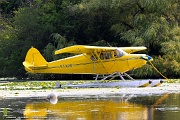 N2262G Piper PA-12S Super C/N 12-1183, N2262G
