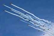 WG26_1112 Large formation of trainers