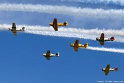 WG26_1129 Formation of trainers