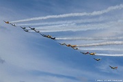 WG26_1131 Large formation of trainers