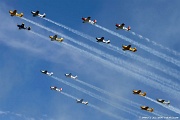 WG26_1145 Large formation of trainers